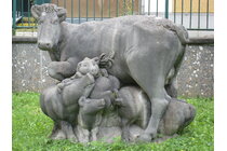 Bild von Volker Stiefel